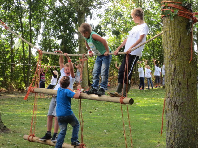Activiteit_Survival